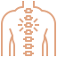 Chiropractic care illustration depicting spinal alignment and nervous system health.