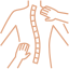Diagram of the spine and nervous system illustrating chiropractic care and functional assessment.