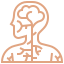 Diagram of the human nervous system and bodily systems for thorough examination.