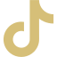 TikTok logo representing modern medical treatments and chiropractic care